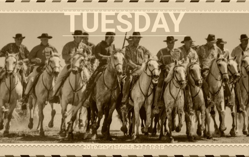 Location de vacances - Appartement à Port Camargue