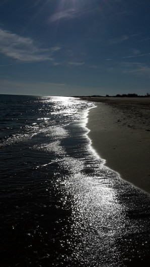 Location de vacances - Appartement à Port Camargue