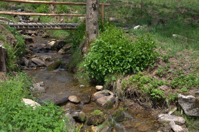 Location de vacances - Chalet à Le Bonhomme
