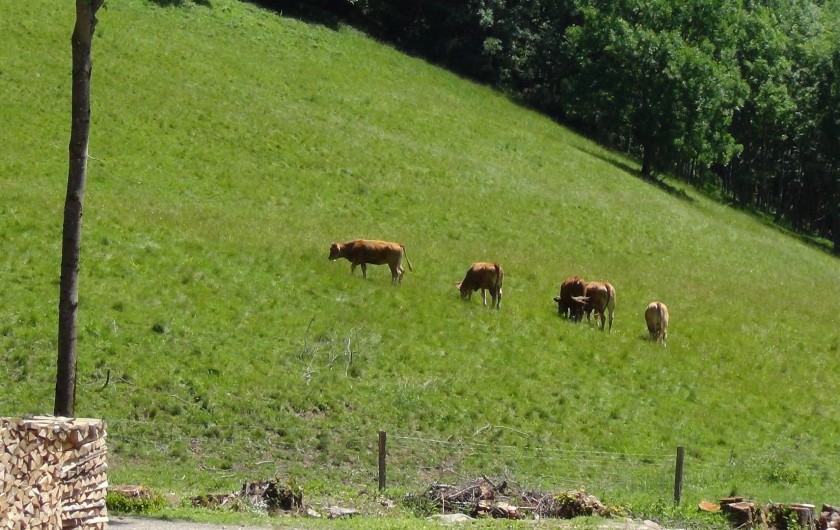Location de vacances - Chalet à Le Bonhomme