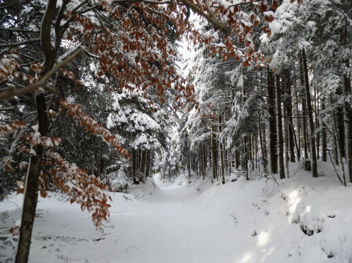Location de vacances - Gîte à Arrentès-de-Corcieux