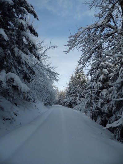 Location de vacances - Gîte à Arrentès-de-Corcieux