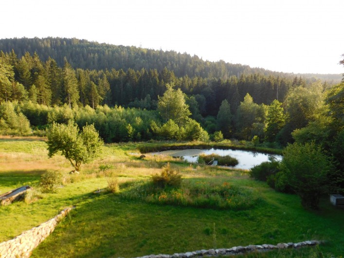 Location de vacances - Gîte à Arrentès-de-Corcieux - terrain et l'étang en contre-bas