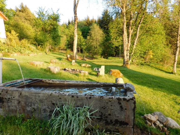 Location de vacances - Gîte à Arrentès-de-Corcieux - eau de source