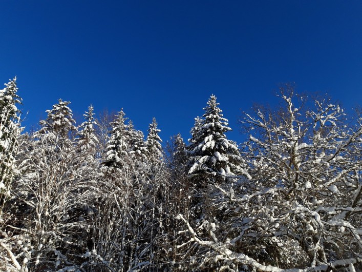 Location de vacances - Gîte à Arrentès-de-Corcieux