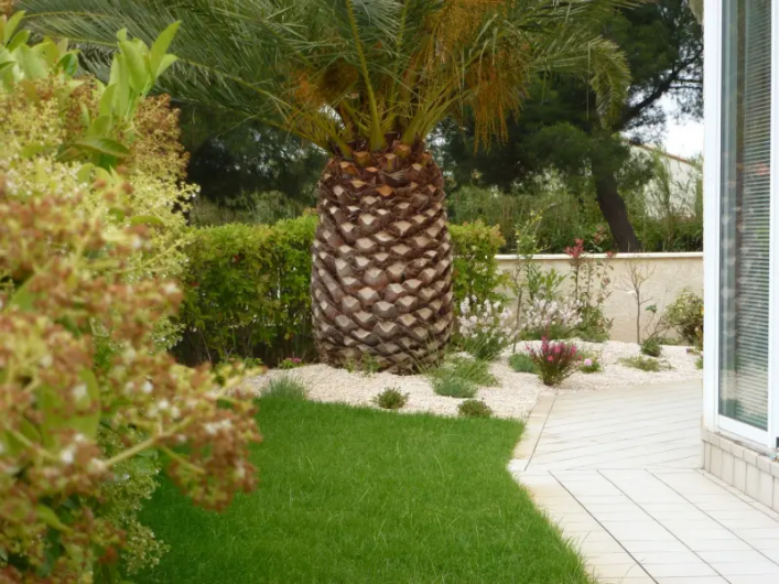 Location de vacances - Appartement à Saint-Cyprien Plage