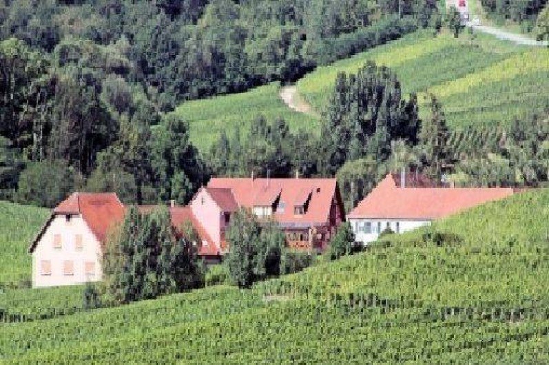 Location de vacances - Gîte à Nothalten