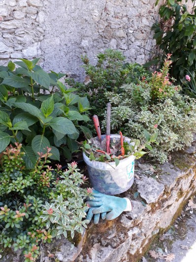 Location de vacances - Chambre d'hôtes à Saint-Martin-le-Vieil