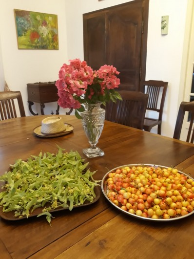 Location de vacances - Chambre d'hôtes à Saint-Martin-le-Vieil - Tilleul et cerises