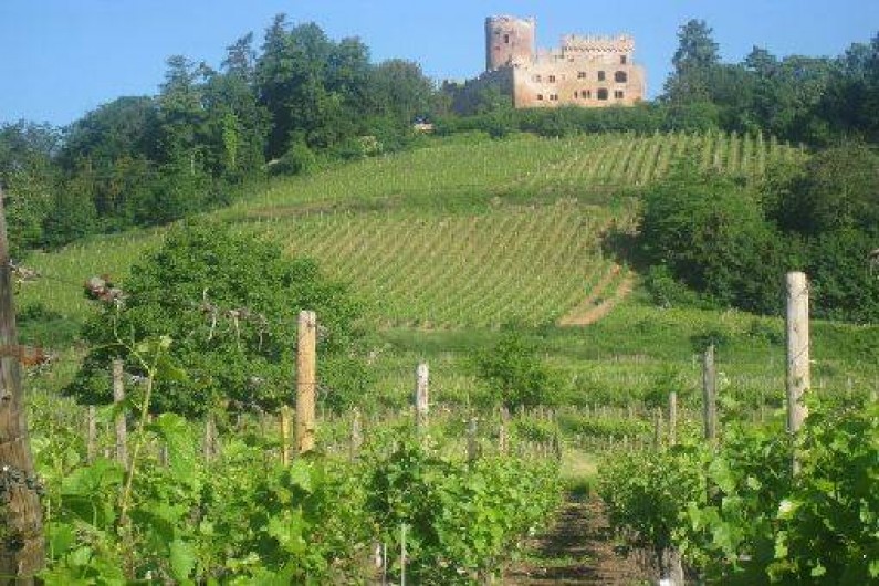 Location de vacances - Gîte à Kintzheim