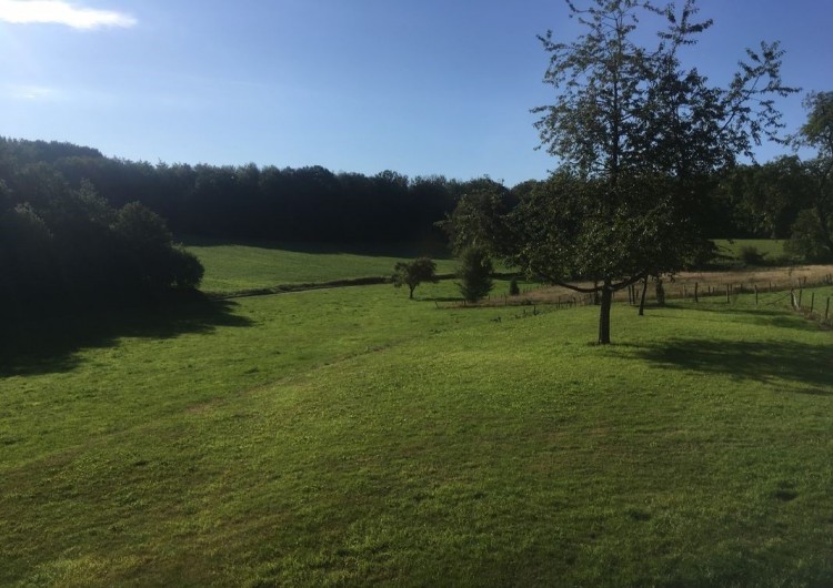 Location de vacances - Gîte à Fougerolles-Saint-Valbert