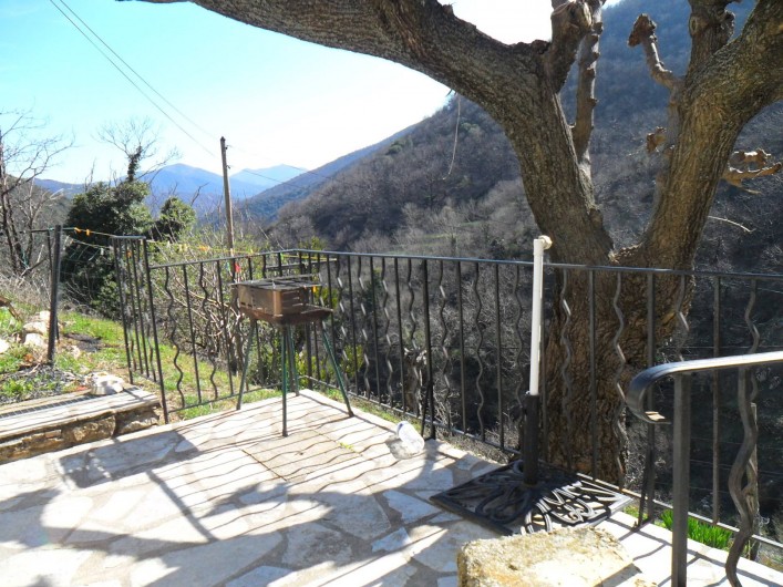 Location de vacances - Gîte à Valleraugue - Extérieur 1