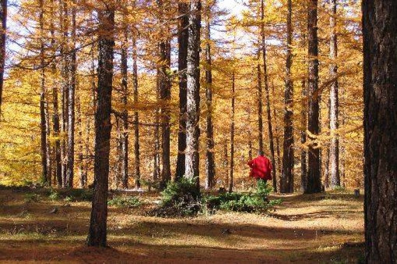 Location de vacances - Gîte à Arvieux