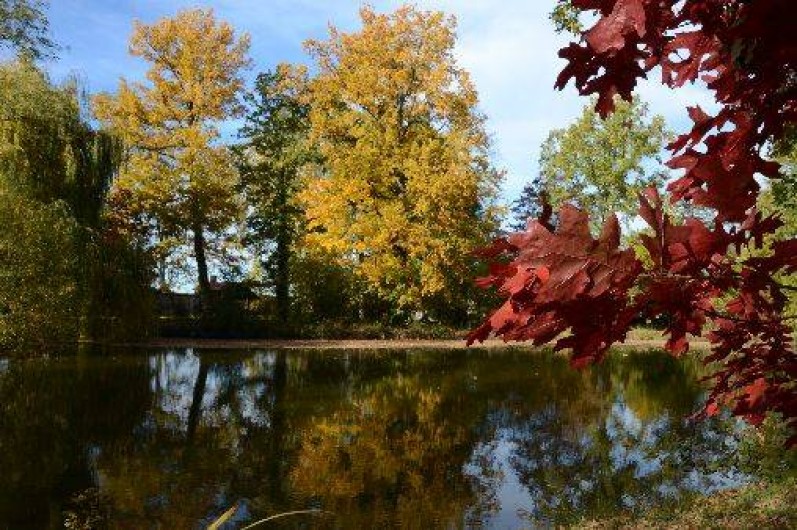 Location de vacances - Gîte à Mornand-en-Forez