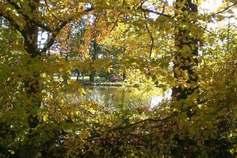 Location de vacances - Gîte à Mornand-en-Forez