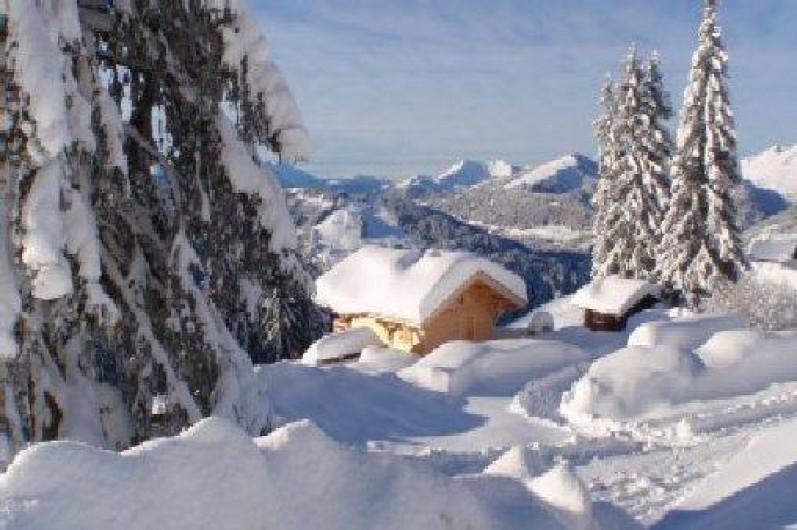 Location de vacances - Chalet à Morzine