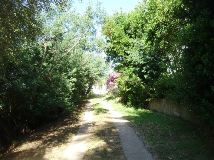 Location de vacances - Gîte à Alata - L'allée d'accès au gîte