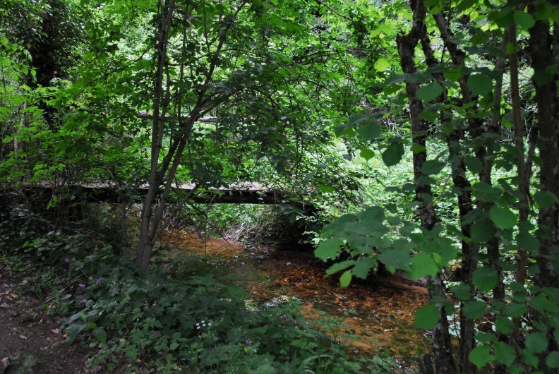 Location de vacances - Chambre d'hôtes à Saint-Laurent-de-Lévézou - Bord de ruisseau