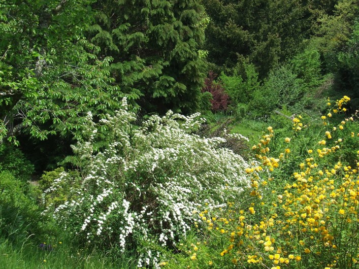 Location de vacances - Chambre d'hôtes à Saint-Laurent-de-Lévézou - Jardin au printemps