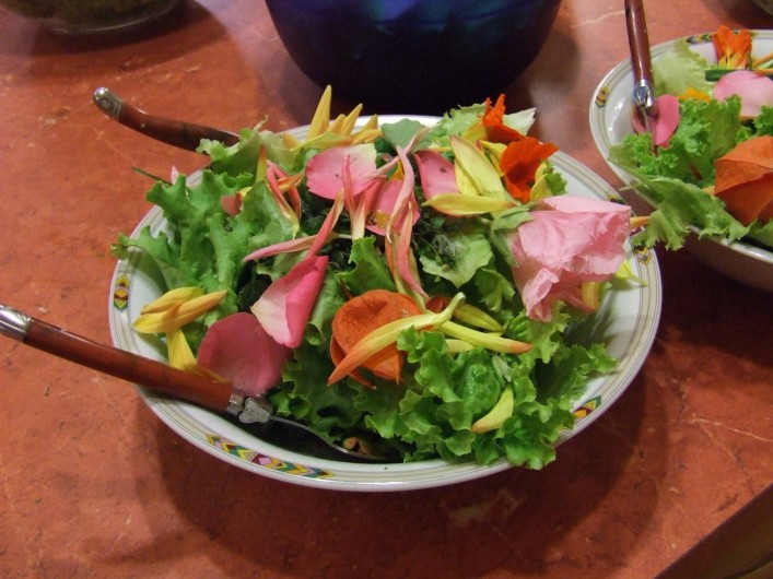 Location de vacances - Chambre d'hôtes à Saint-Laurent-de-Lévézou - Salade aux fleurs