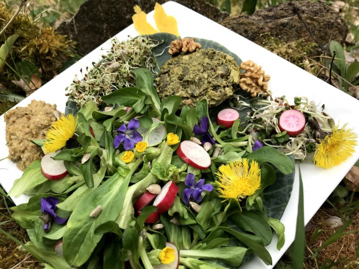 Location de vacances - Chambre d'hôtes à Saint-Laurent-de-Lévézou - Assiette composée terrine aux plantes sauvages
