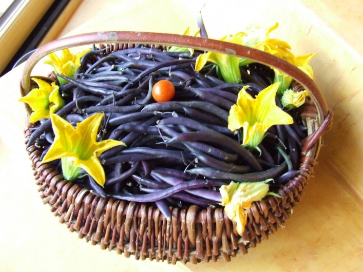 Location de vacances - Chambre d'hôtes à Saint-Laurent-de-Lévézou - Retour du potager