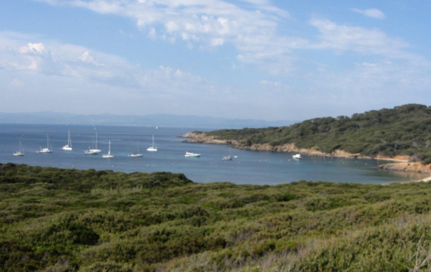 Location de vacances - Appartement à Hyères - L'île de Porquerolles  en face des Salins D'Hyeres(1H en bâteau)