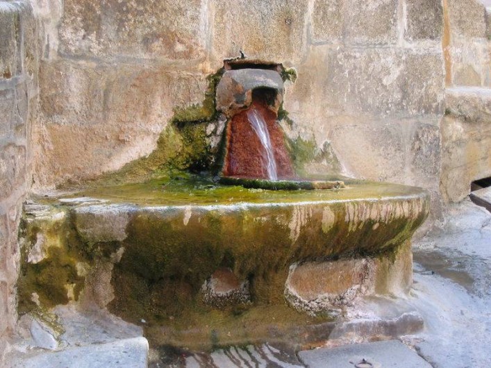Location de vacances - Gîte à Saint-Flour - Chaudes-Aigues - source du Par