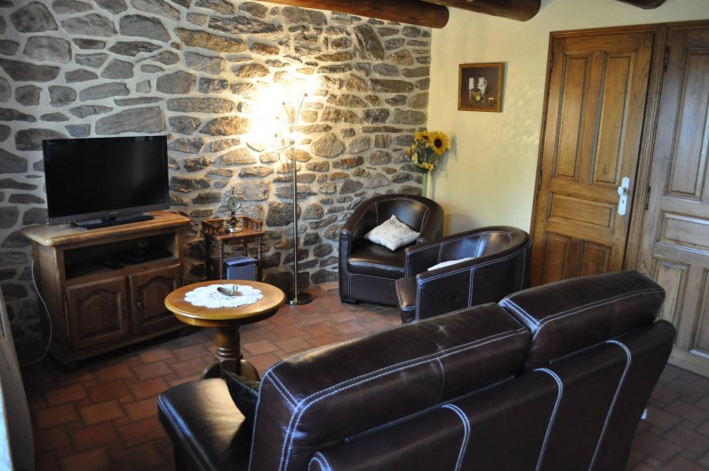 Location de vacances - Gîte à Saint-Flour - salon avec téléviseur