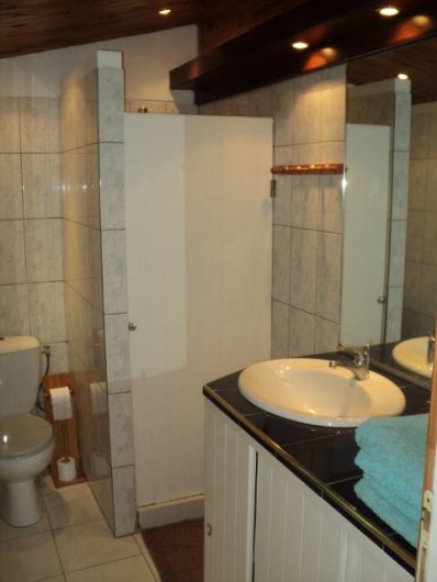 Location de vacances - Gîte à Bois De Nèfles - Salle douche -toilettes, lavabo