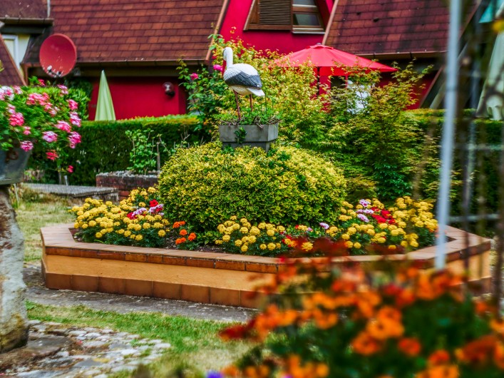Location de vacances - Gîte à Kaysersberg - Le parc fleuri au centre de la Résidence