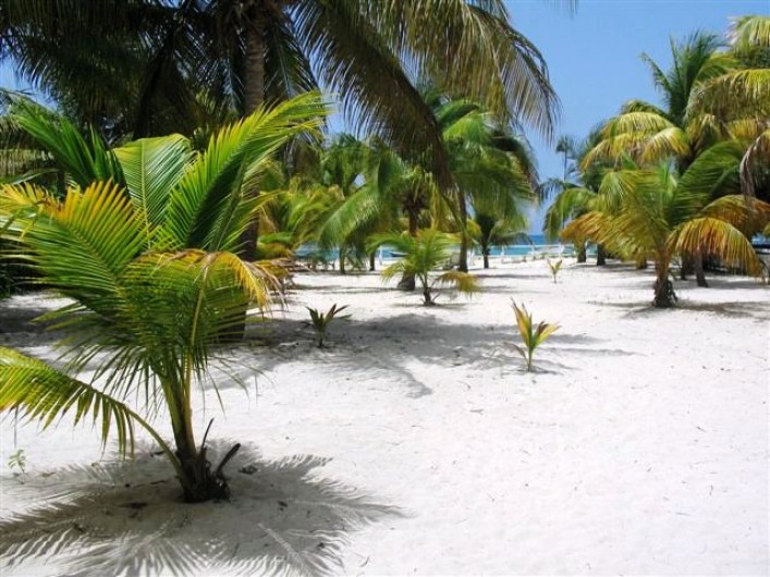 Location de vacances - Villa à Saint-François