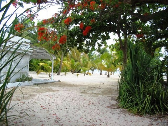 Location de vacances - Villa à Saint-François