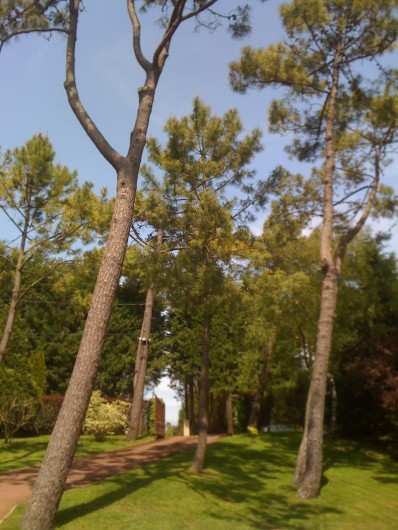 Location de vacances - Villa à Le Touquet-Paris-Plage