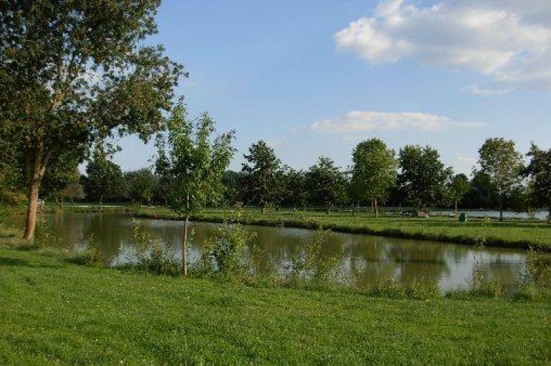 Location de vacances - Gîte à Genouillé