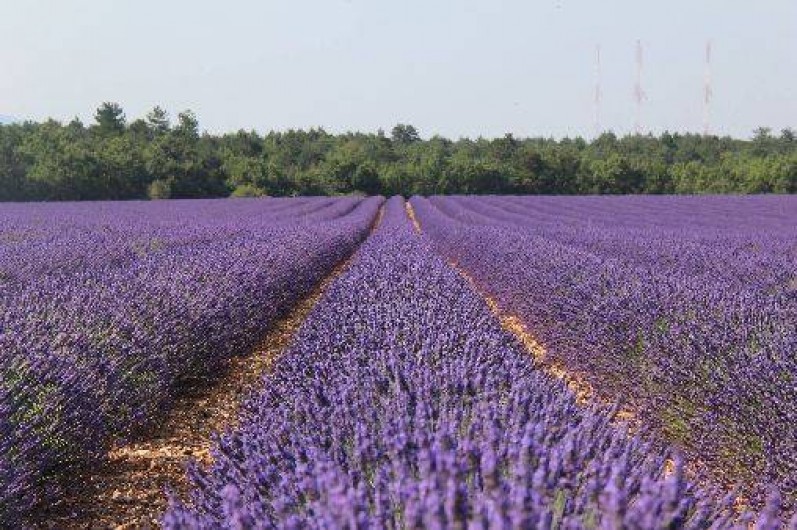 Location de vacances - Gîte à Moustiers-Sainte-Marie