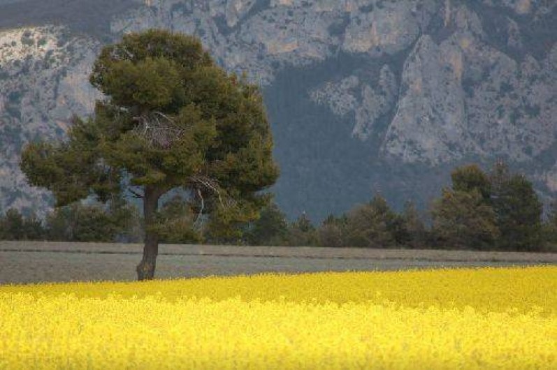 Location de vacances - Gîte à Moustiers-Sainte-Marie
