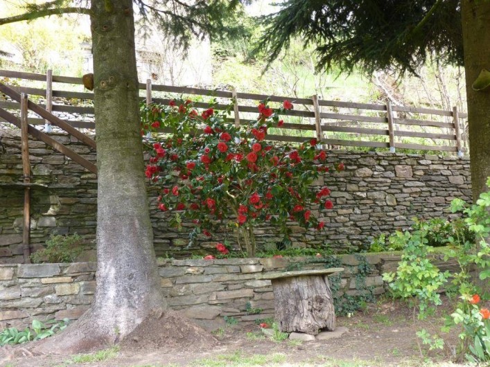 Location de vacances - Gîte à Saint-Julien-d'Arpaon