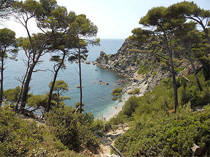 Location de vacances - Villa à Six-Fours-les-Plages