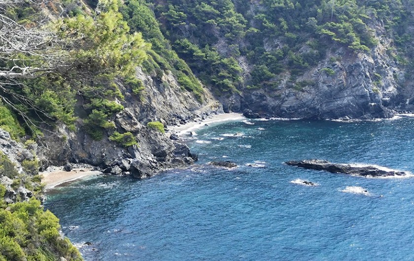 Location de vacances - Villa à Six-Fours-les-Plages