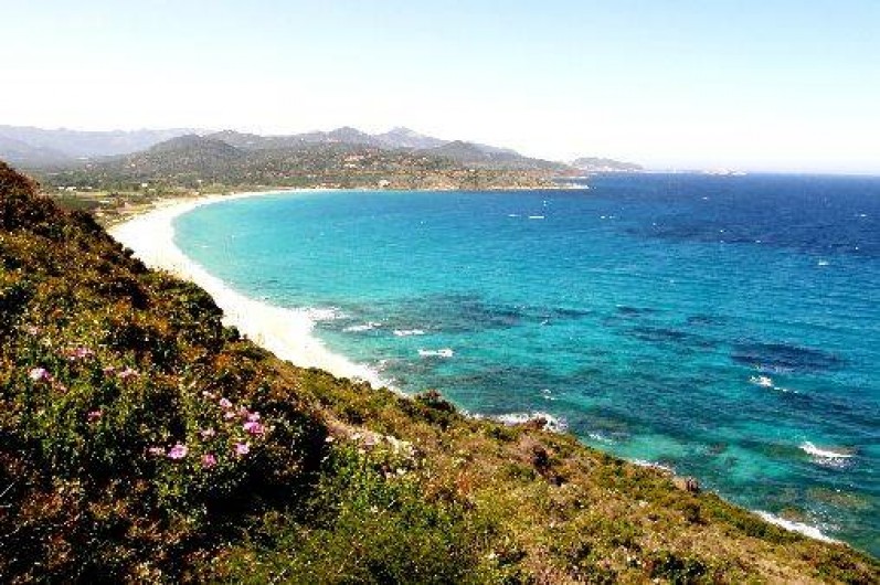 Location de vacances - Maison - Villa à Moltifao