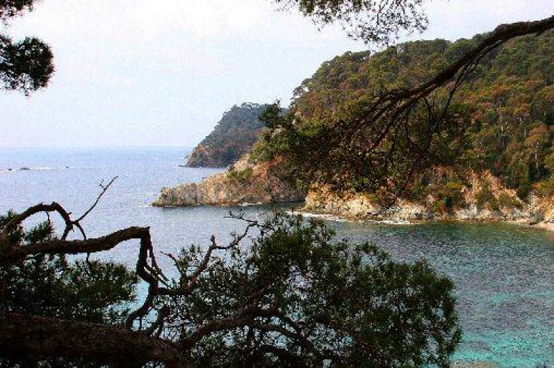 Location de vacances - Studio à Hyères