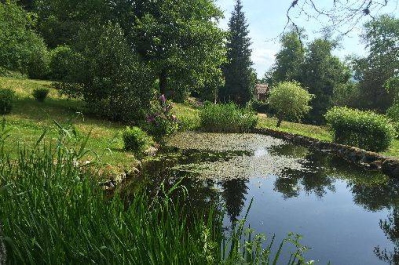 Location de vacances - Hôtel - Auberge à Gérardmer