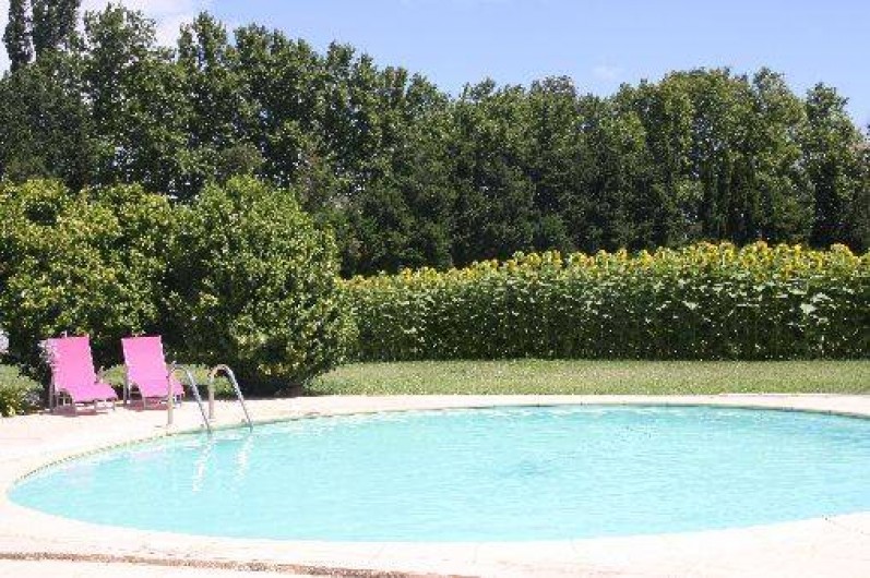 Location de vacances - Mas à Montfavet - piscine été