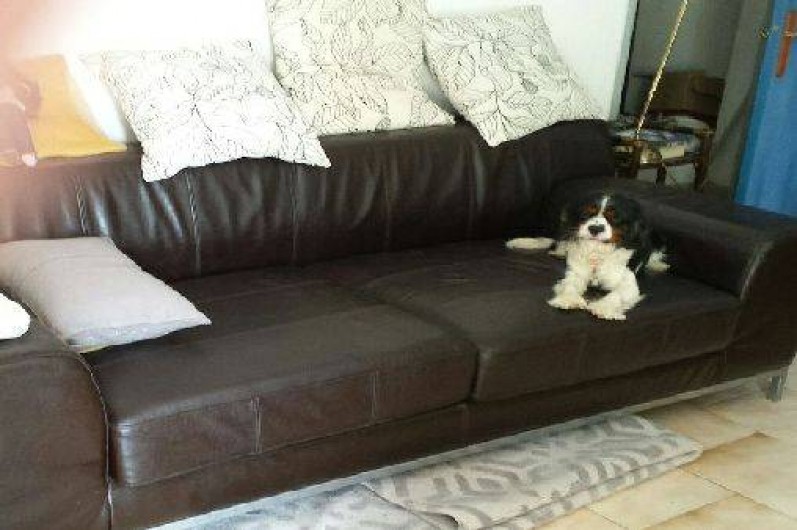 Location de vacances - Appartement à Sausset-les-Pins