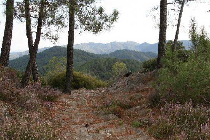 Location de vacances - Mas à Les Salles-du-Gardon
