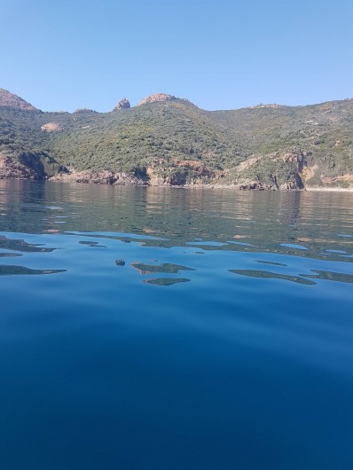 Location de vacances - Studio à Sagone - VUE DU BATEAU