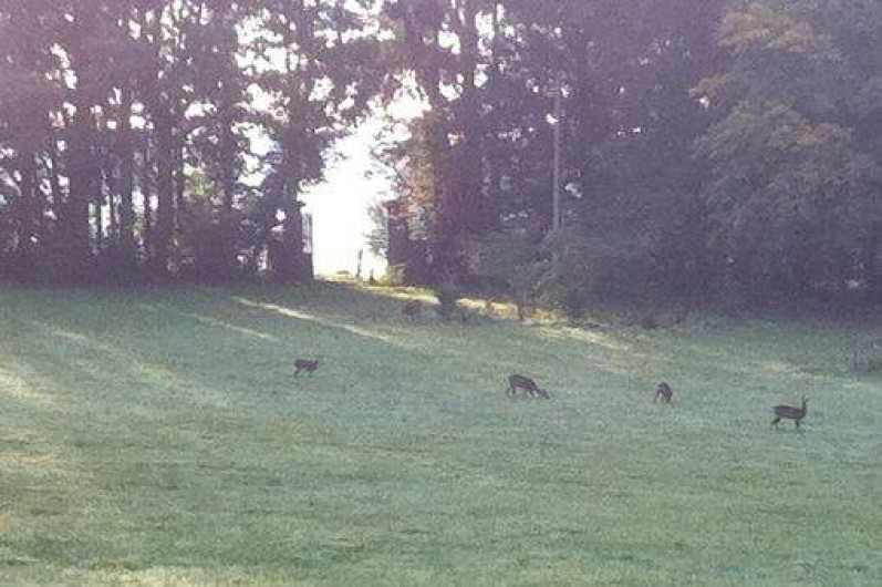 Location de vacances - Gîte à Courgeoût