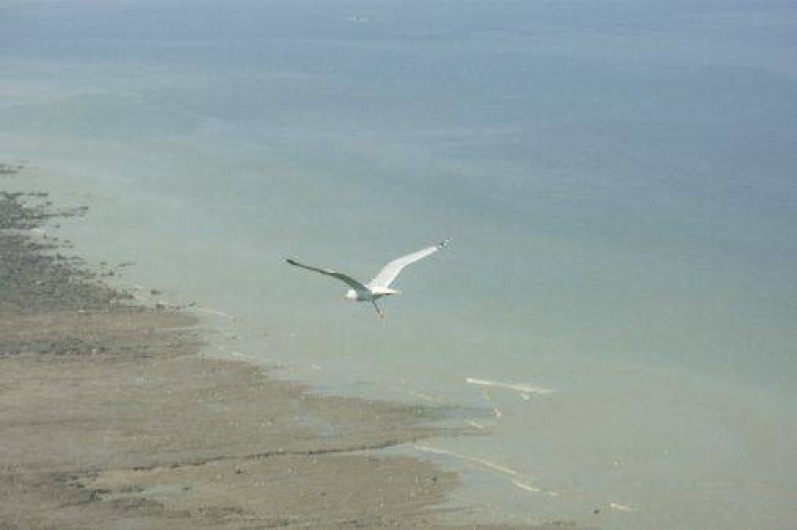Location de vacances - Studio à Ault