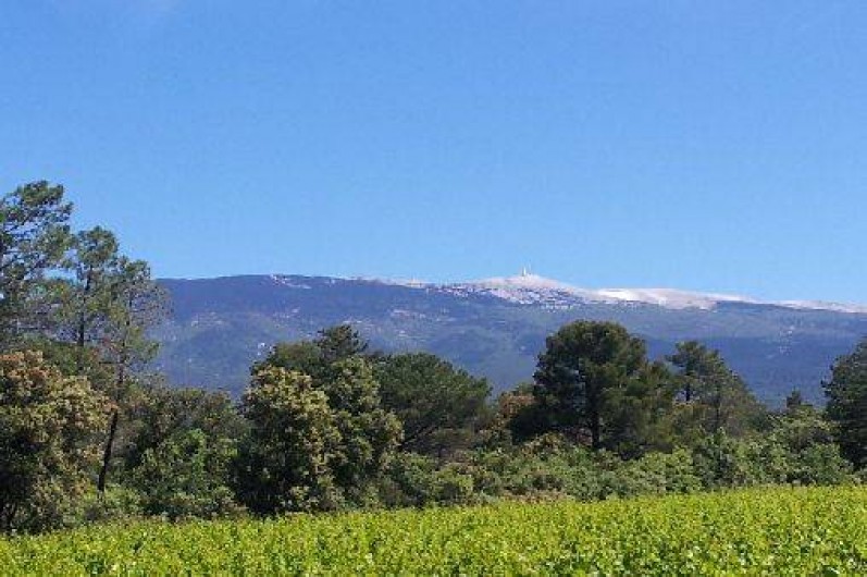 Location de vacances - Villa à Bédoin